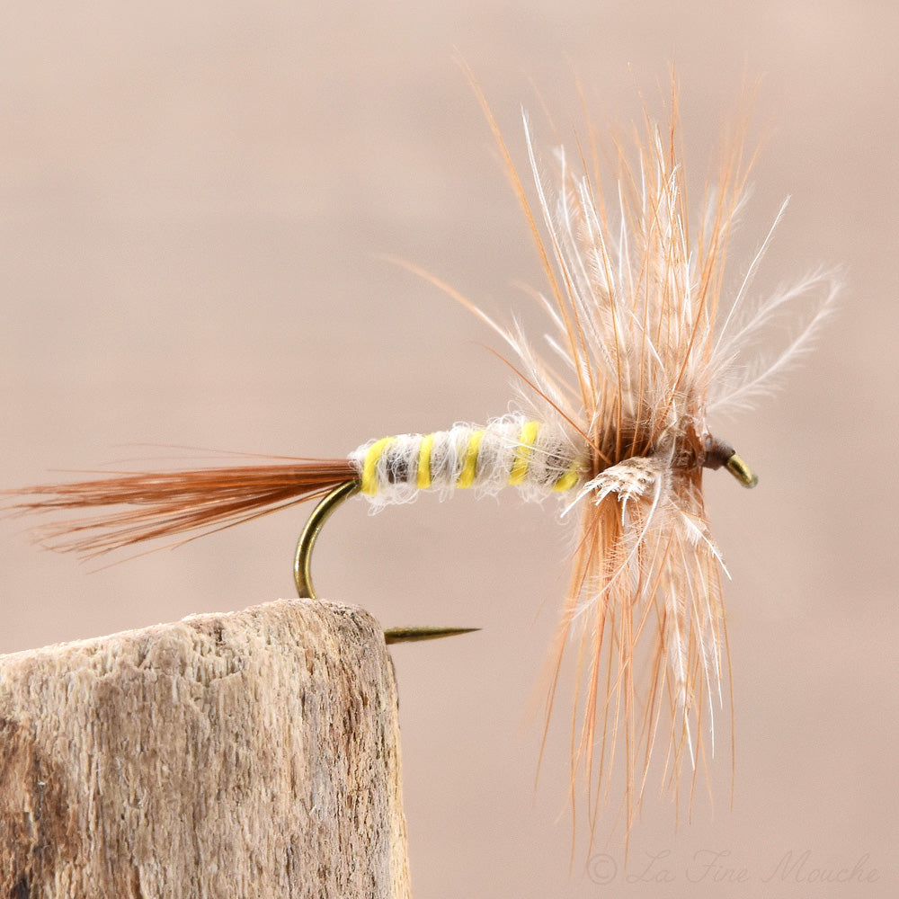 Mouche Sèche - March Brown Classique