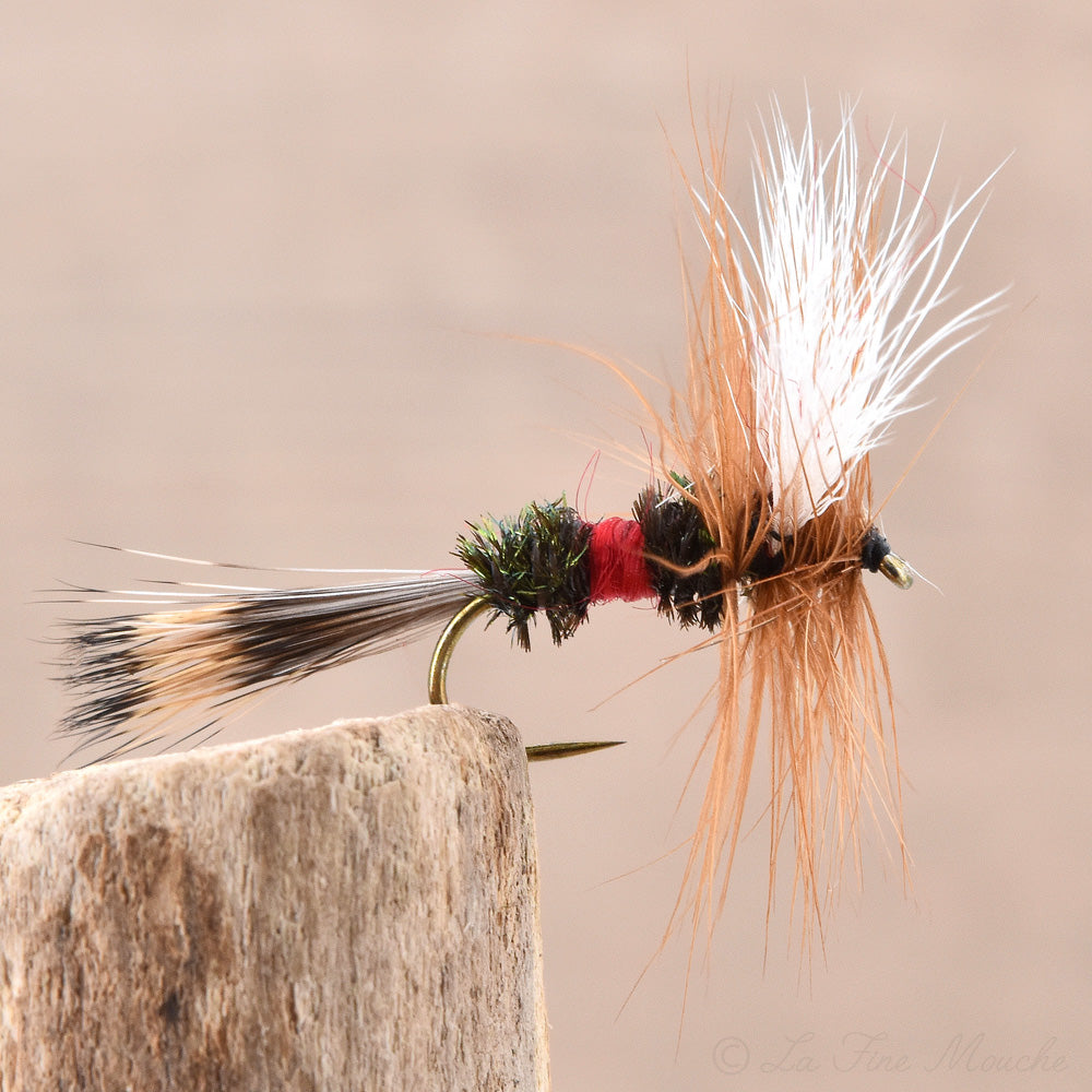 Mouche Sèche - Royal Wulff