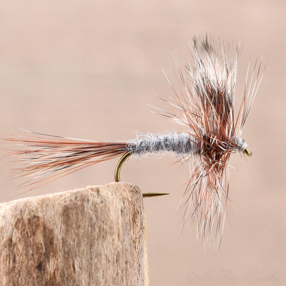 Dry Fly - Adams