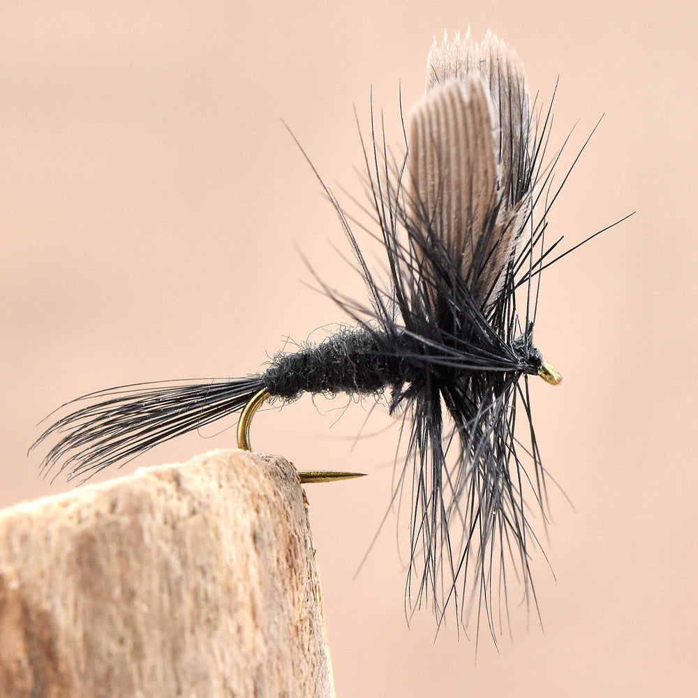 Dry Fly - Black Gnat / Midge