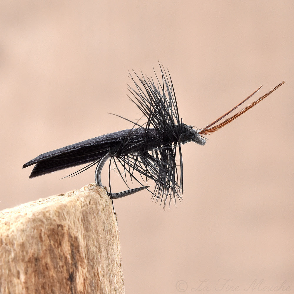 Mouche sèche Black Sedge Horned Sedge Noir