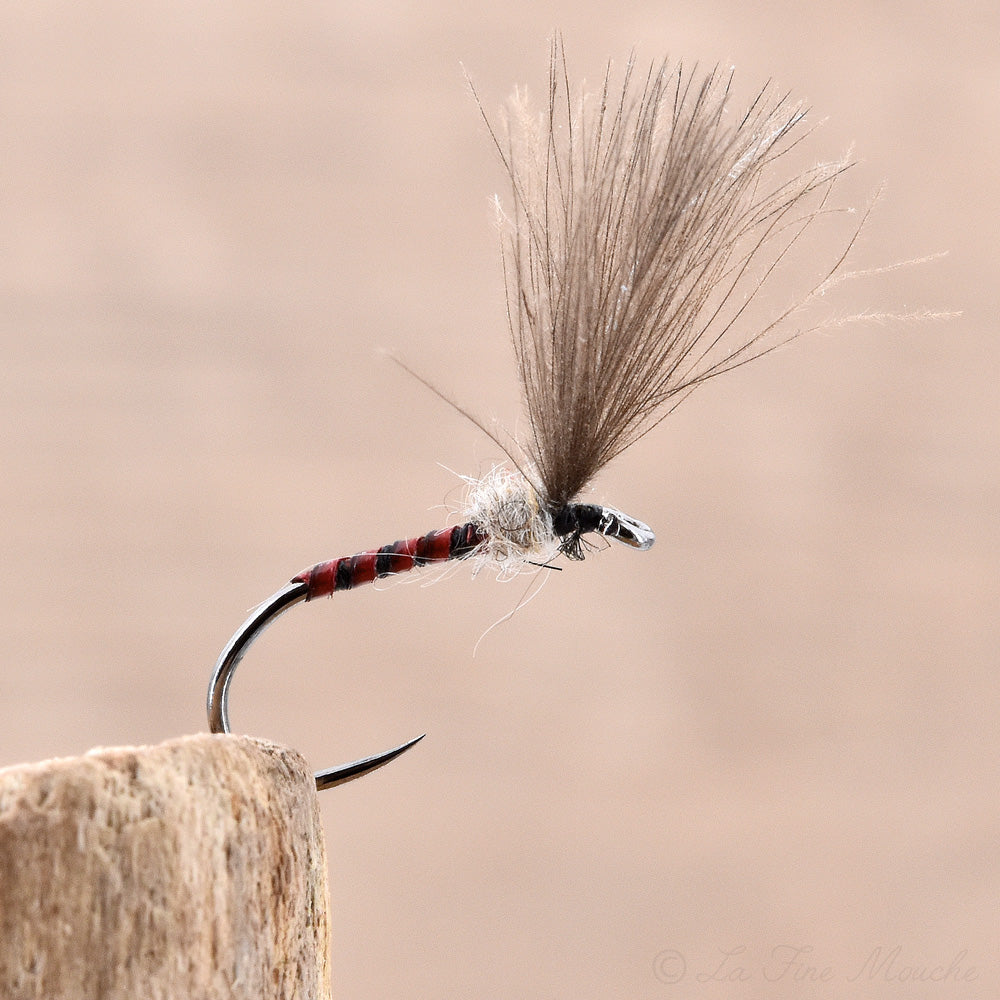 Dry Fly - CDC Evo Quill Subimago Rusty
