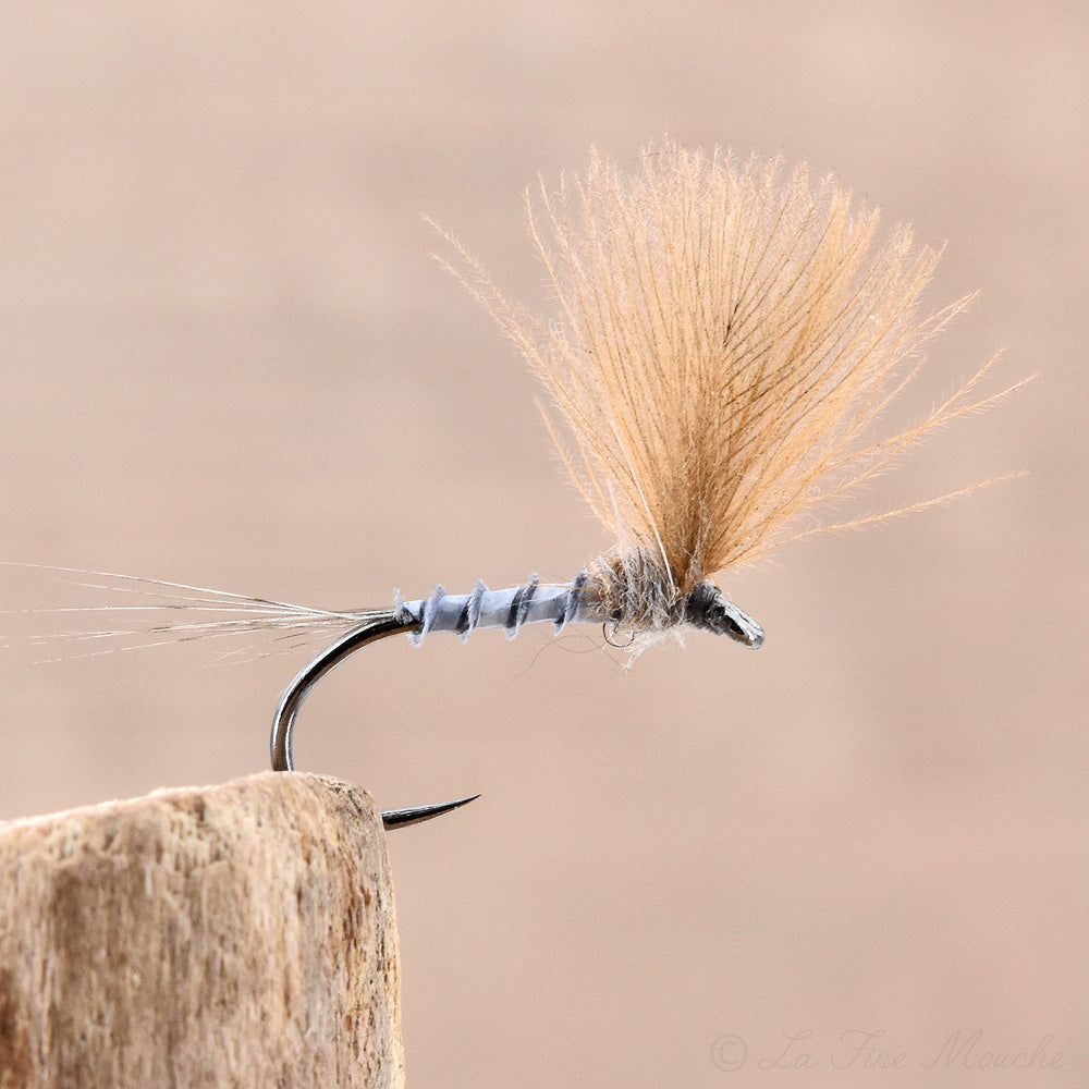 Dry Fly - CDC Quill Subimago Dun