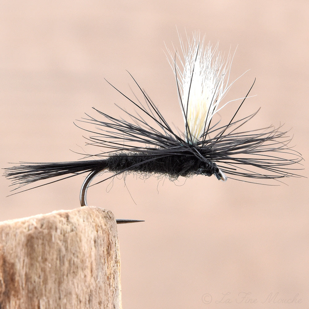 Mouche Sèche - Parachute Black Gnat
