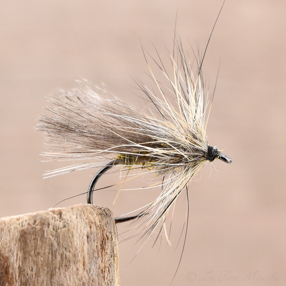 Mouche Sèche Sedge CDC Cerf - Lot De 4 - Pour Pêche à La Truite - Tailles Au Choix - Classique H.Weilenman