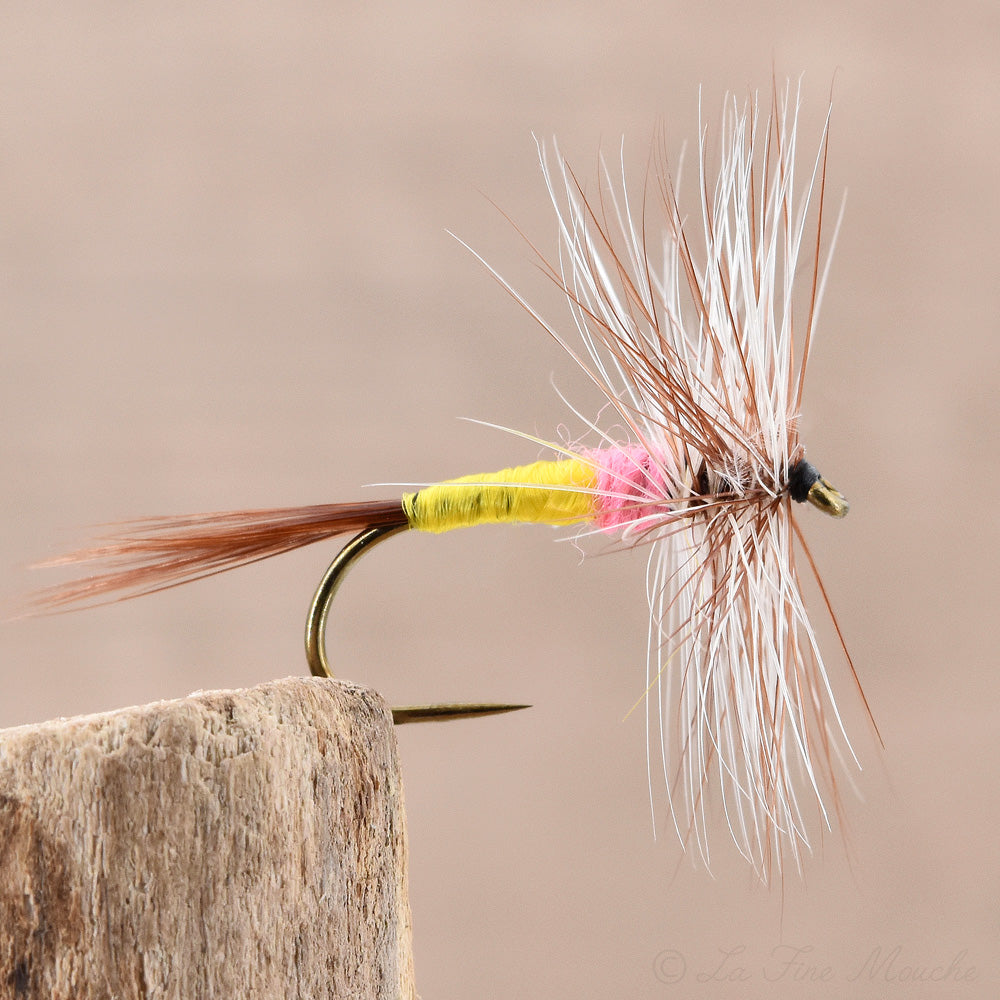 Mouche Sèche - Tups Indispensable