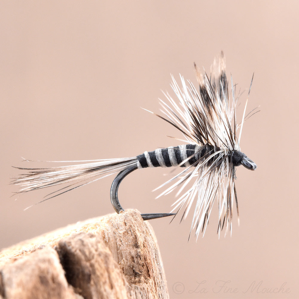 Mouche Sèche Moustique tigre V2