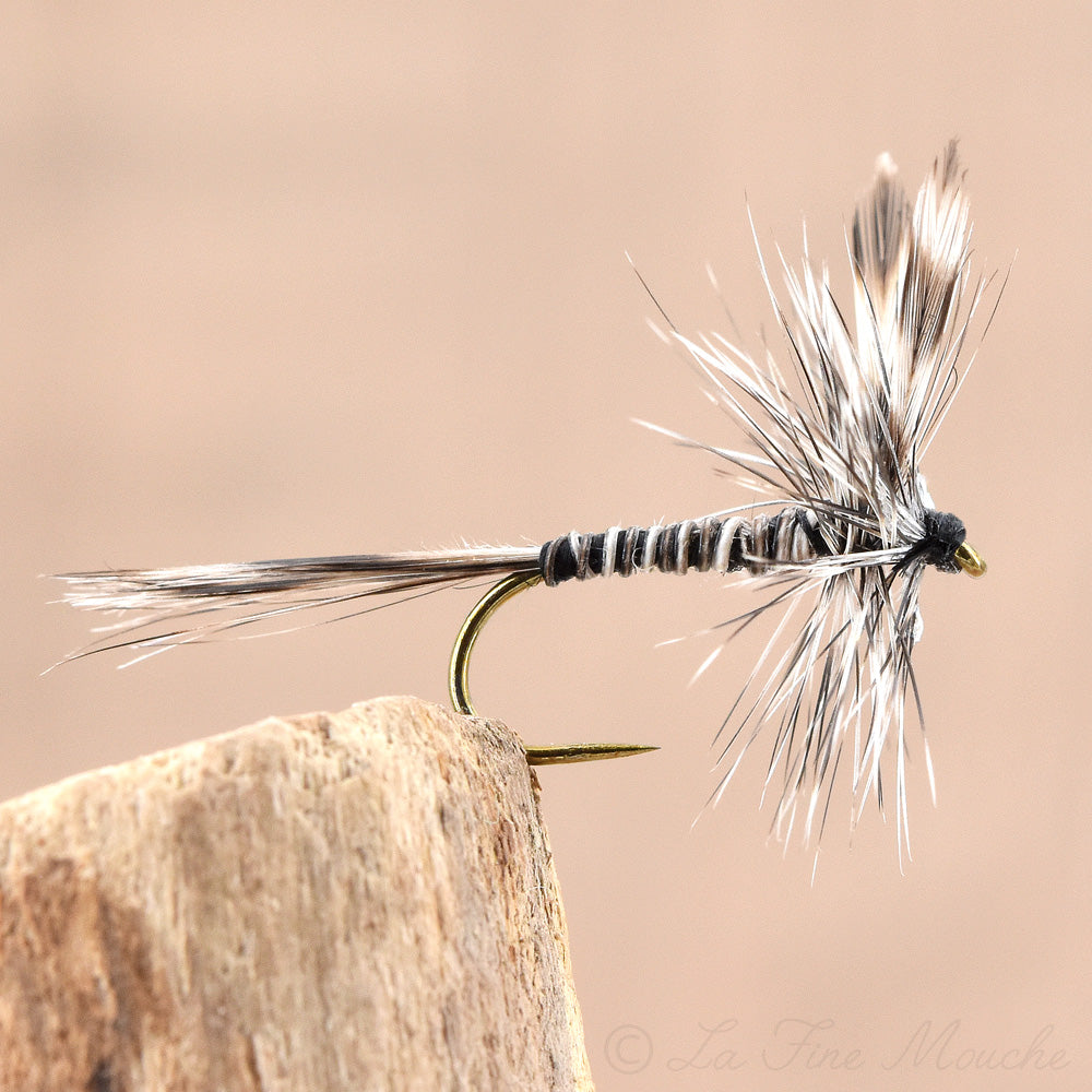 Mouche sèche moustique