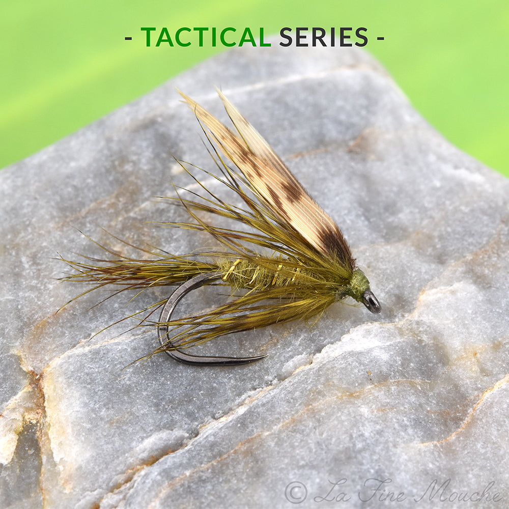 Noyée l'Olive Classique - Pêche en noyée