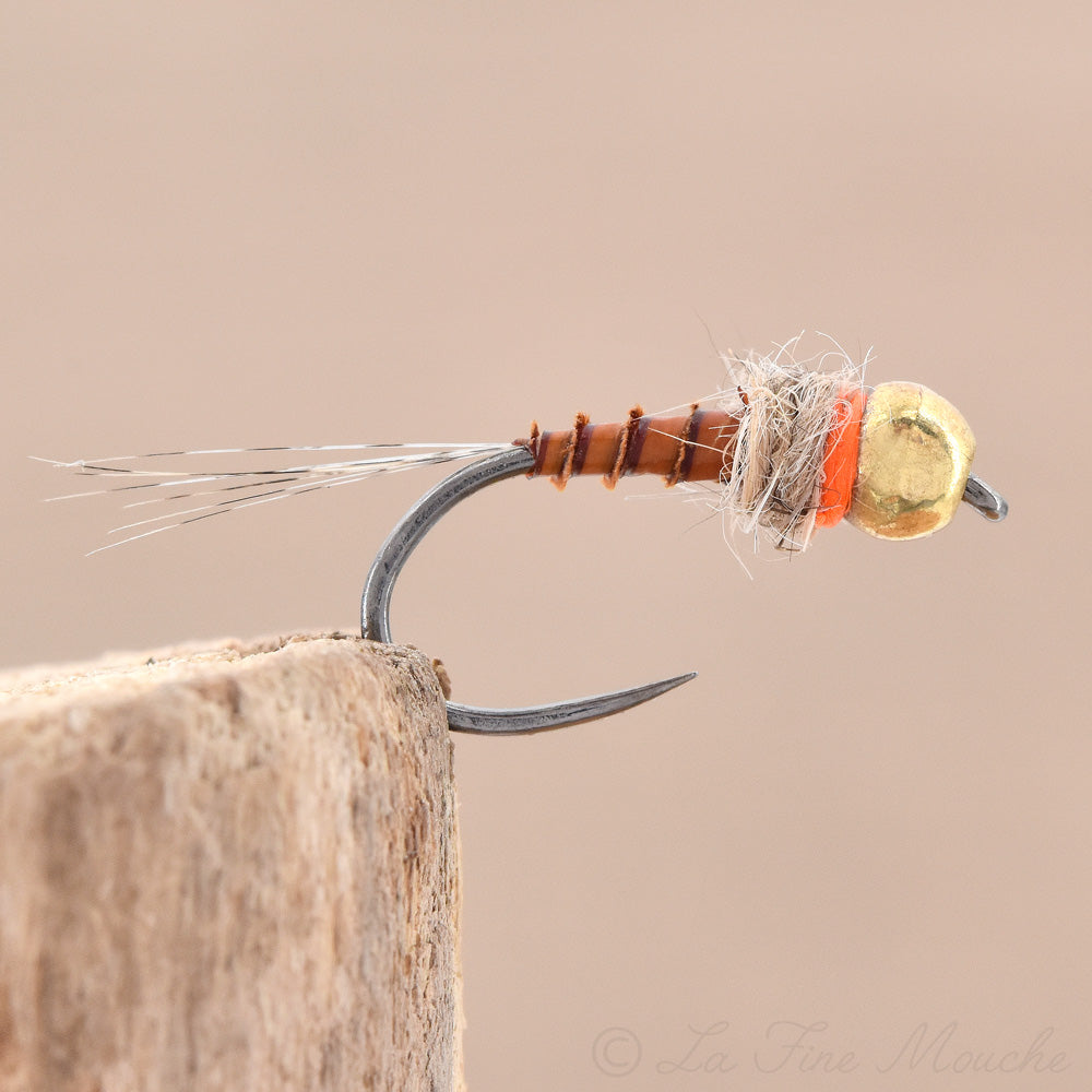 Nymphe Brown Biot Tag Orange - Bille Or en tungstène