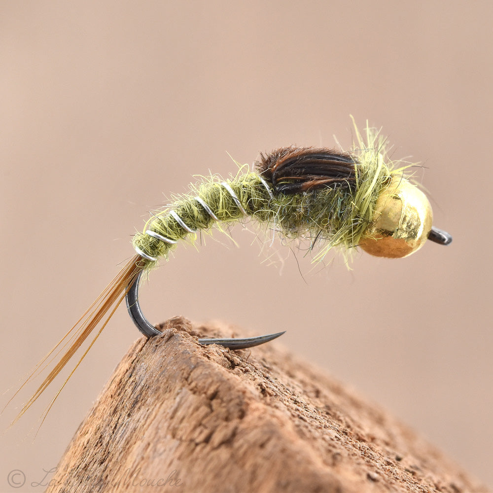 Nymphe ORL Olive avec sacs alaire et Bille en Tungstène OR