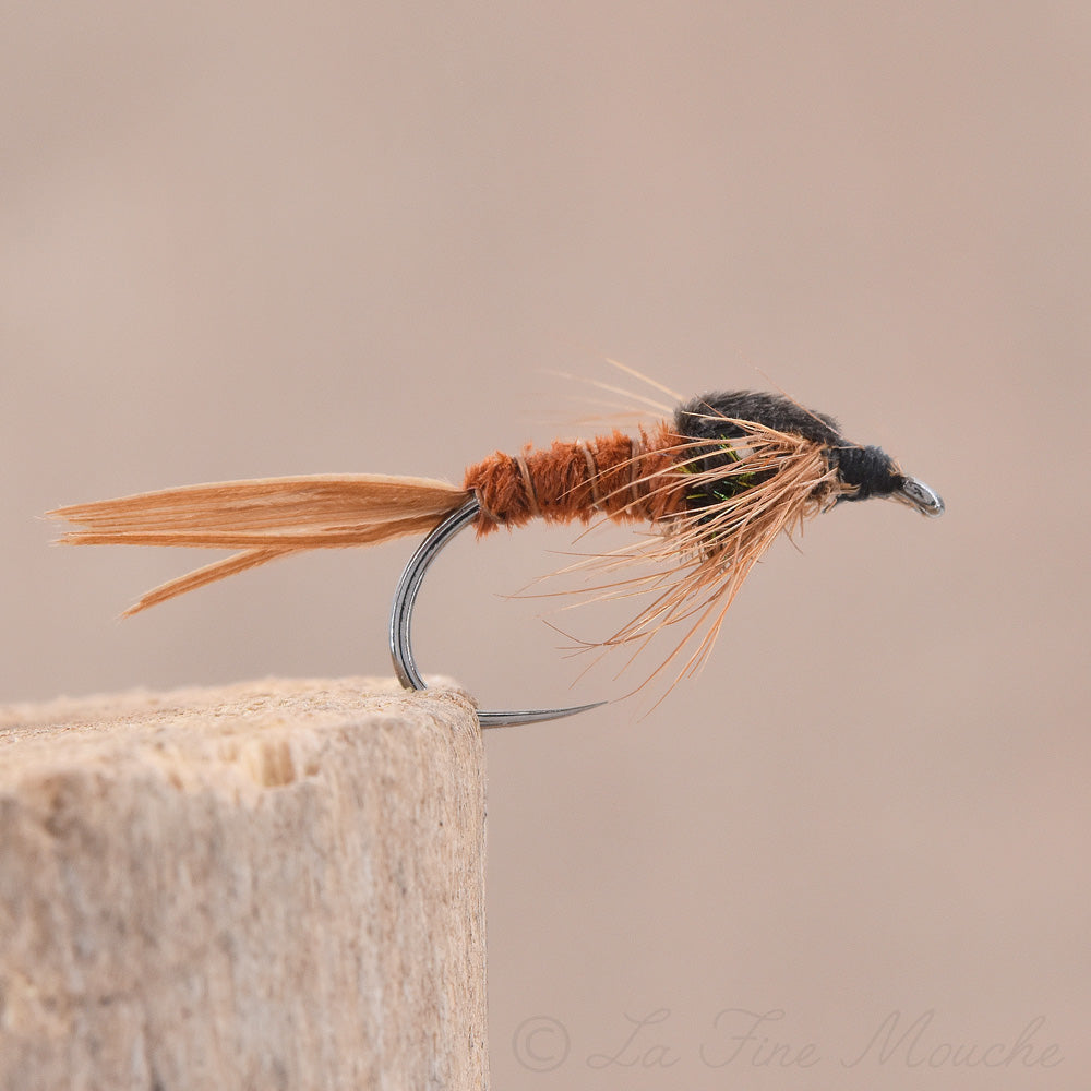 Nymphe Peacock Pheasant Tail
