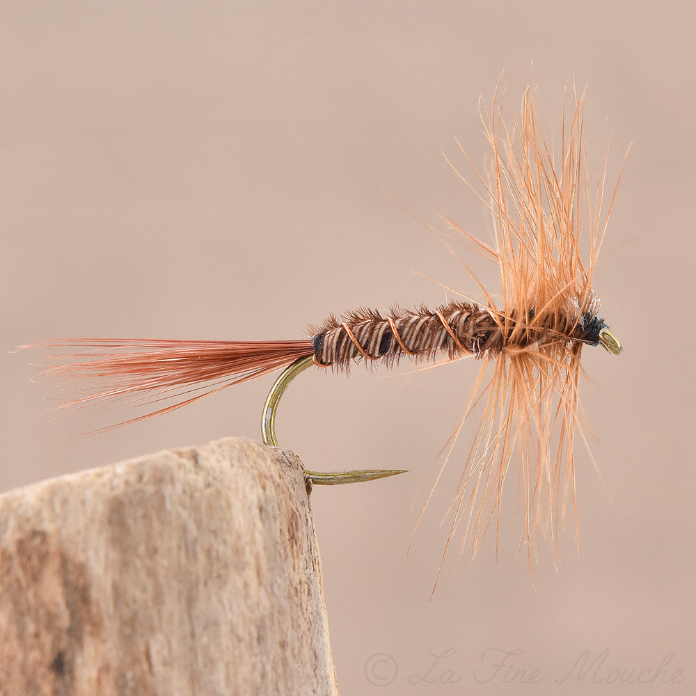 Dry Fly - Pheasant Tail Style