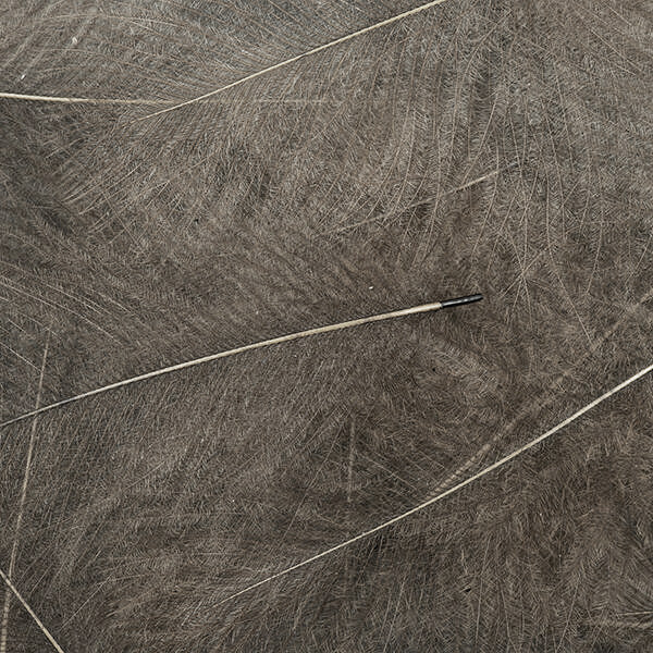 Plumes CDC - Cul de Canard - 1 Gramme - 8 Couleurs