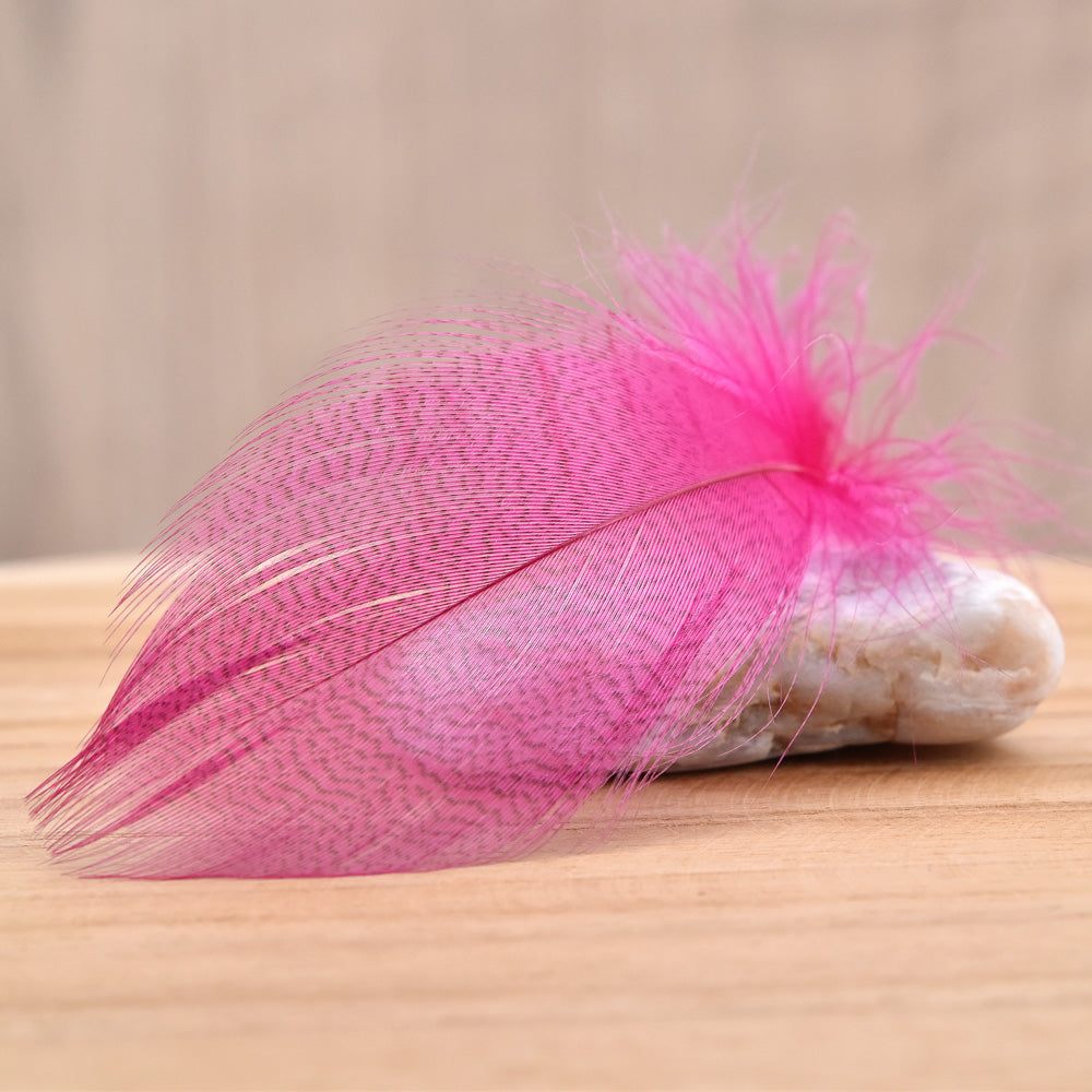 Plumes de Canard Mallard Selection Premium - 1 Gramme - 4 Couleurs