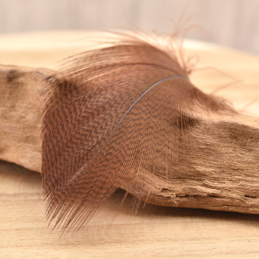 Plumes de Canard Mallard Selection Premium - 1 Gramme - 4 Couleurs