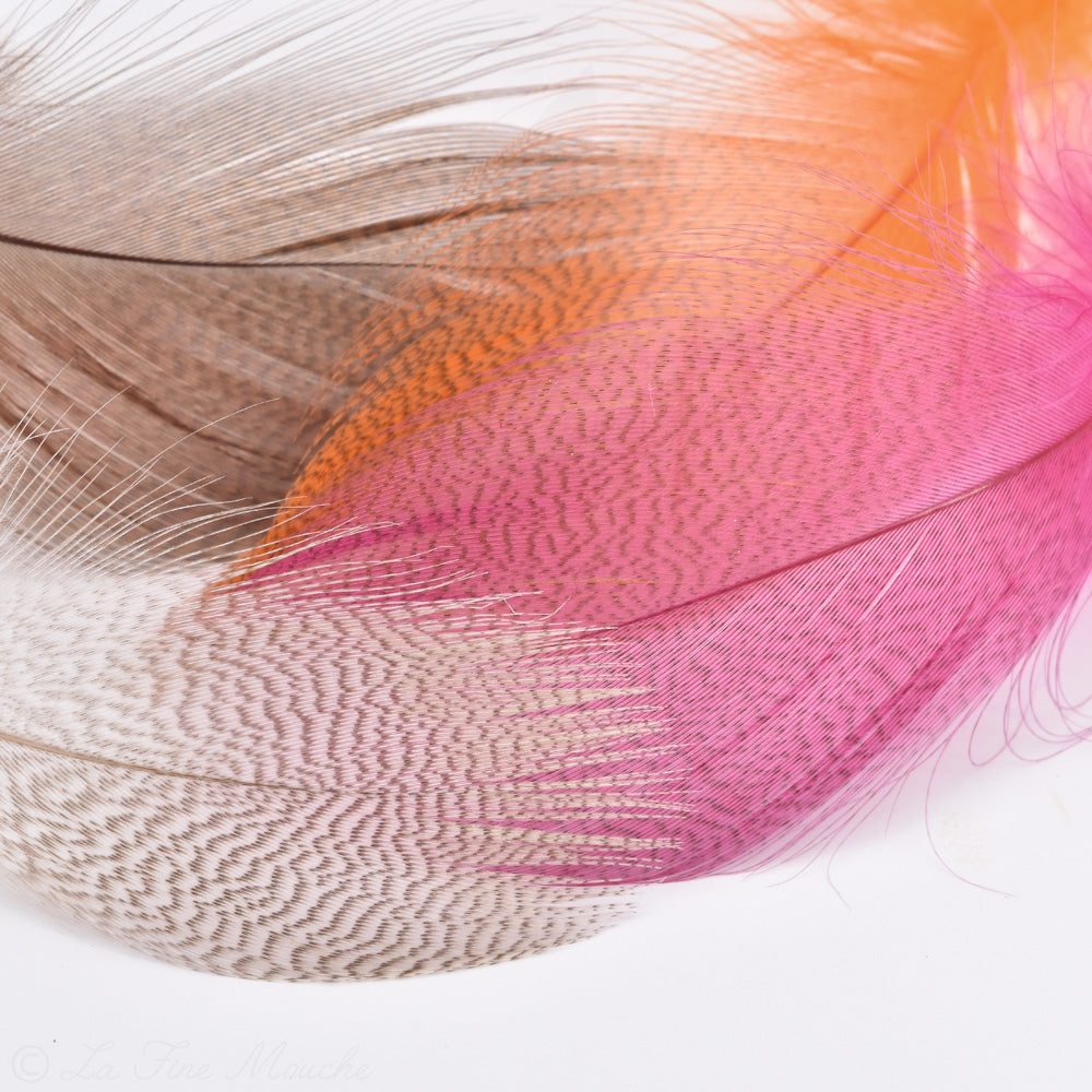 Plumes de Canard Mallard Selection Premium - 1 Gramme - 4 Couleurs