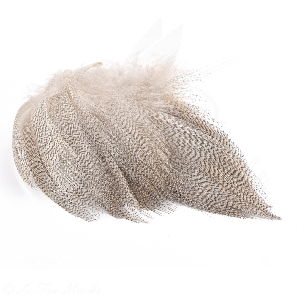 Mallard Duck Feathers Premium Selection - 1 Gram - 4 Colors