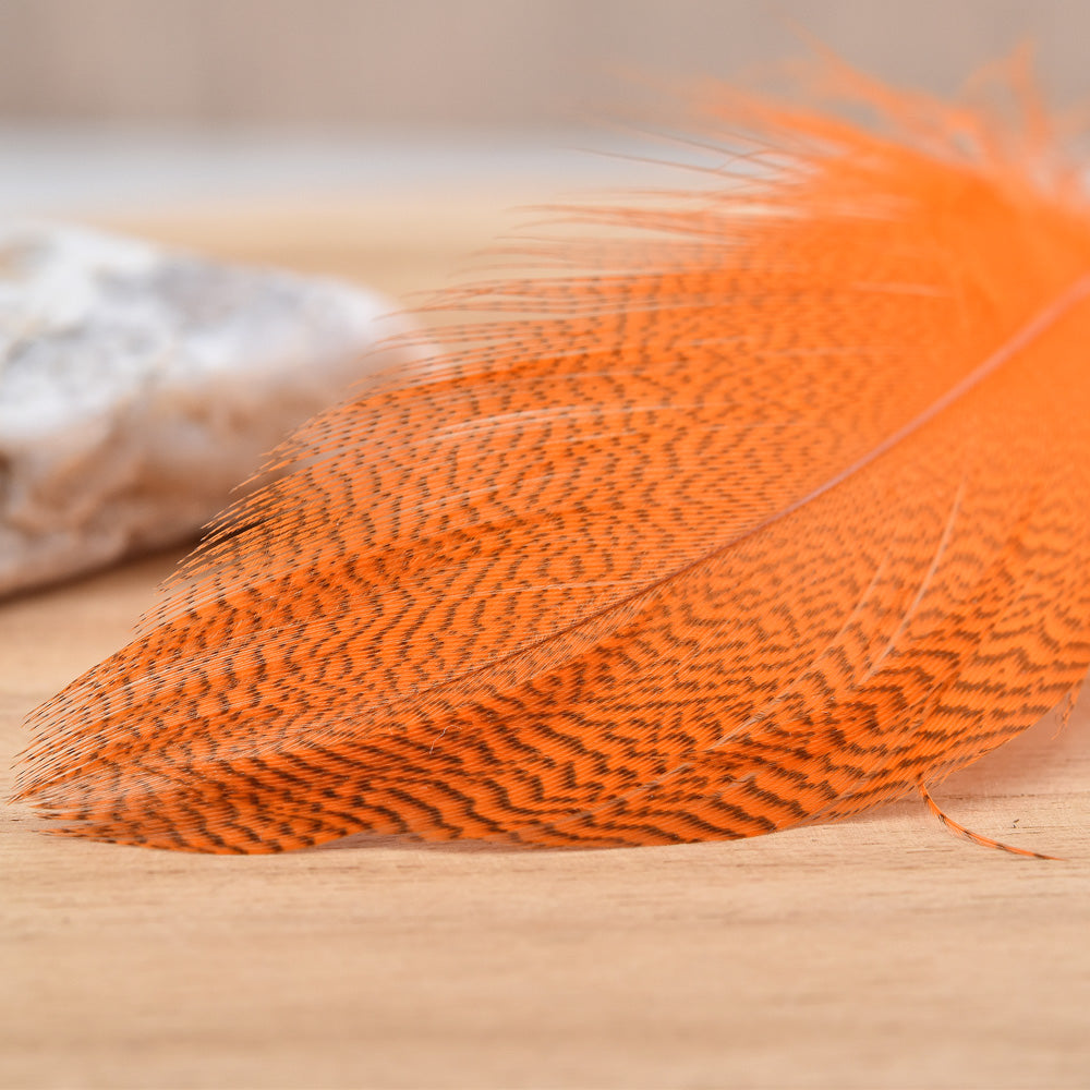 Plumes de Canard Mallard Selection Premium - 1 Gramme - 4 Couleurs