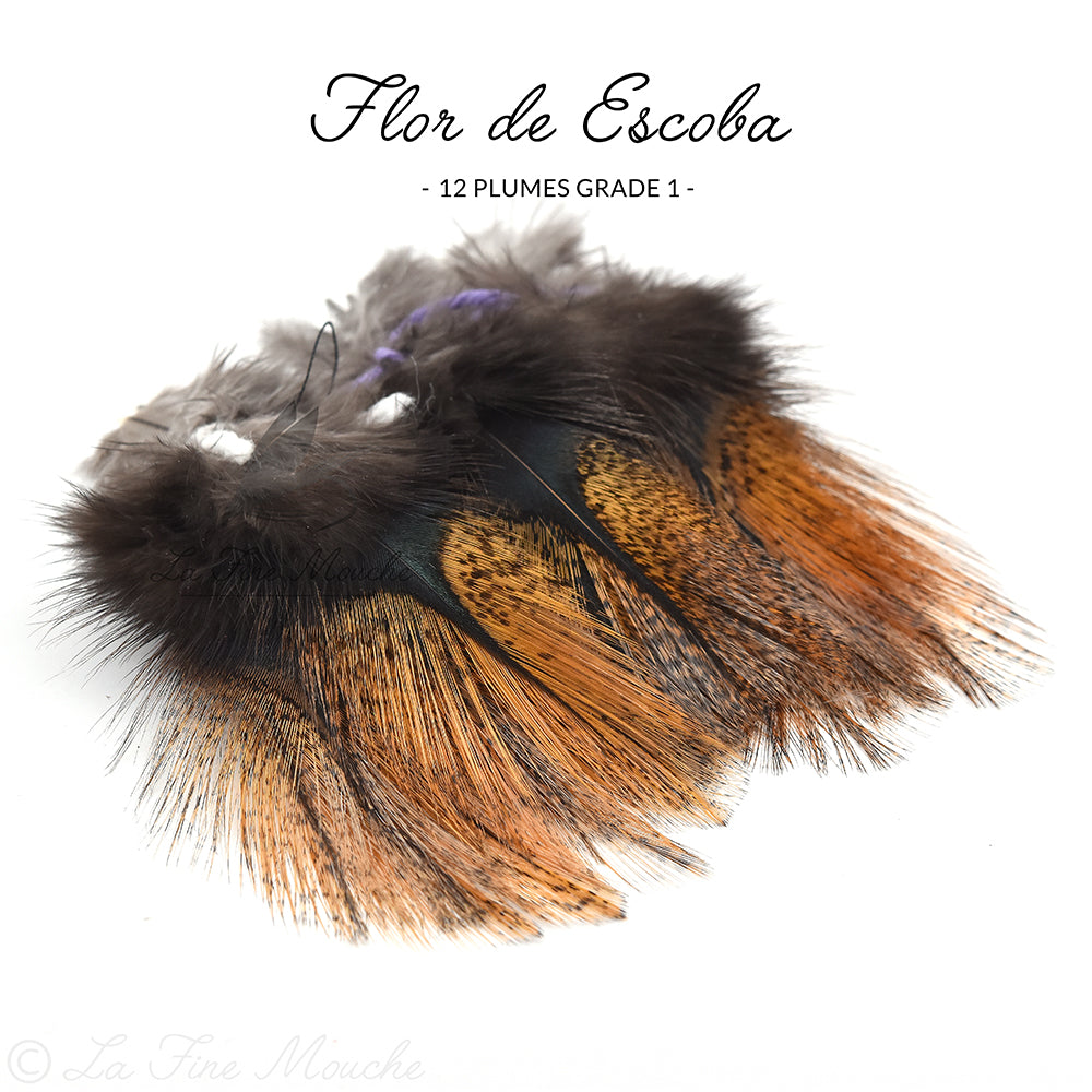 Pardo Coq de Leon Federn - Grade 1 Premium (12 Federn)