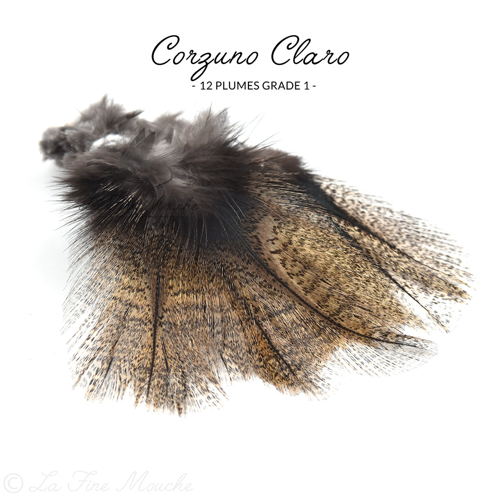 Pardo Coq de Leon Federn - Grade 1 Premium (12 Federn)