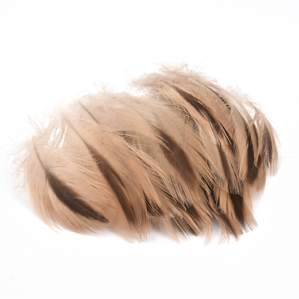 Plumes de Poitrail de Colvert Femelle