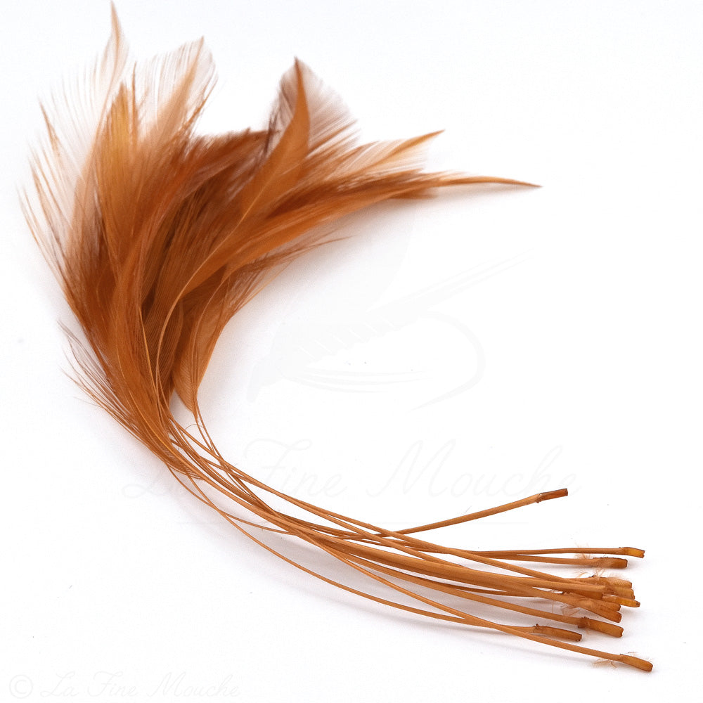 Quills de Coq pour le corps des mouches