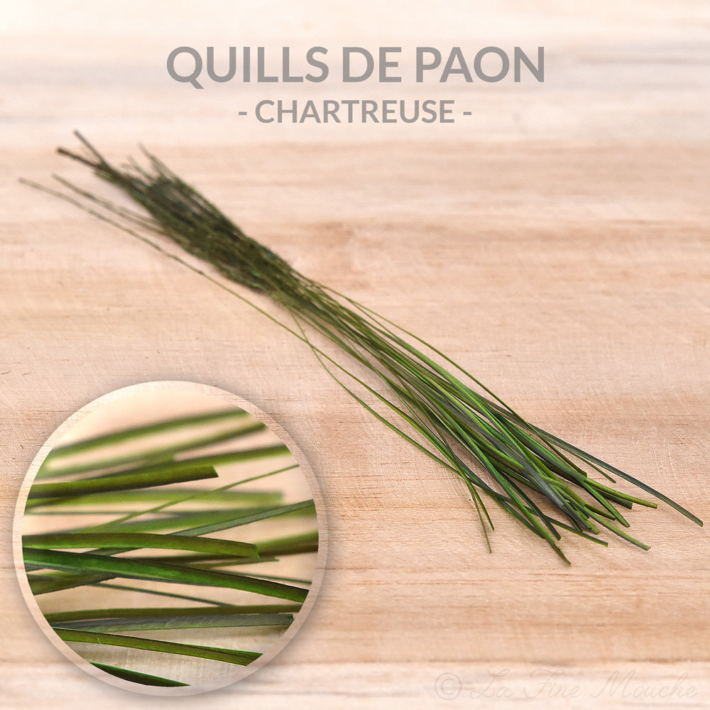 Quills de Paon ébarbés - 10 Couleurs - 25pcs