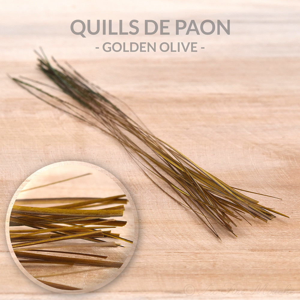 Peacock Quills - 10 Colors - 25pcs