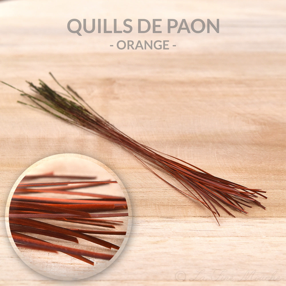 Peacock Quills - 10 Colors - 25pcs