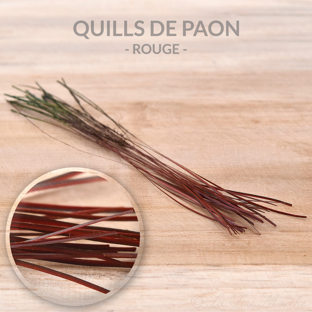 Peacock Quills - 10 Colors - 25pcs
