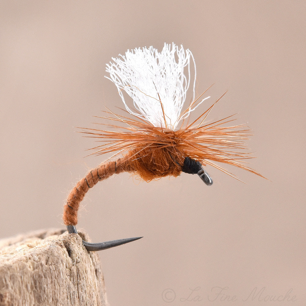 Mouche Sèche - Émergente Klinkhammer Rusty Brown