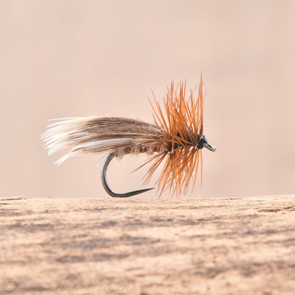 Mouche Sedge Europa