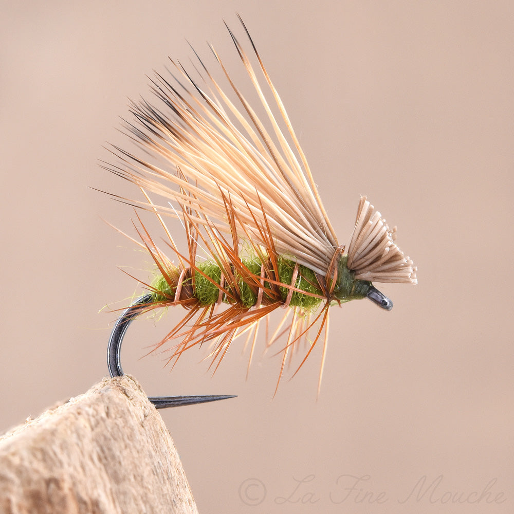 Mouche Sèche Sedge Elk Hair Caddis Olive