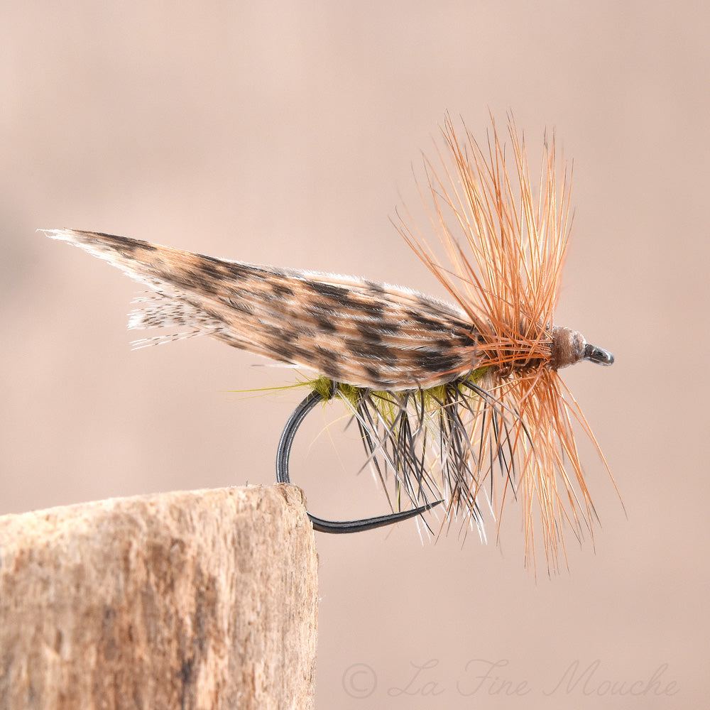 Sedge Henryville Special