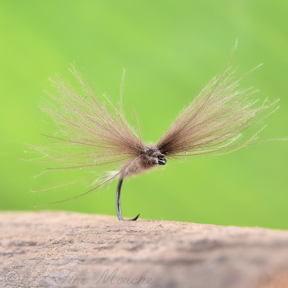 Mouche Sèche Spinner aile CDC Corps Gris