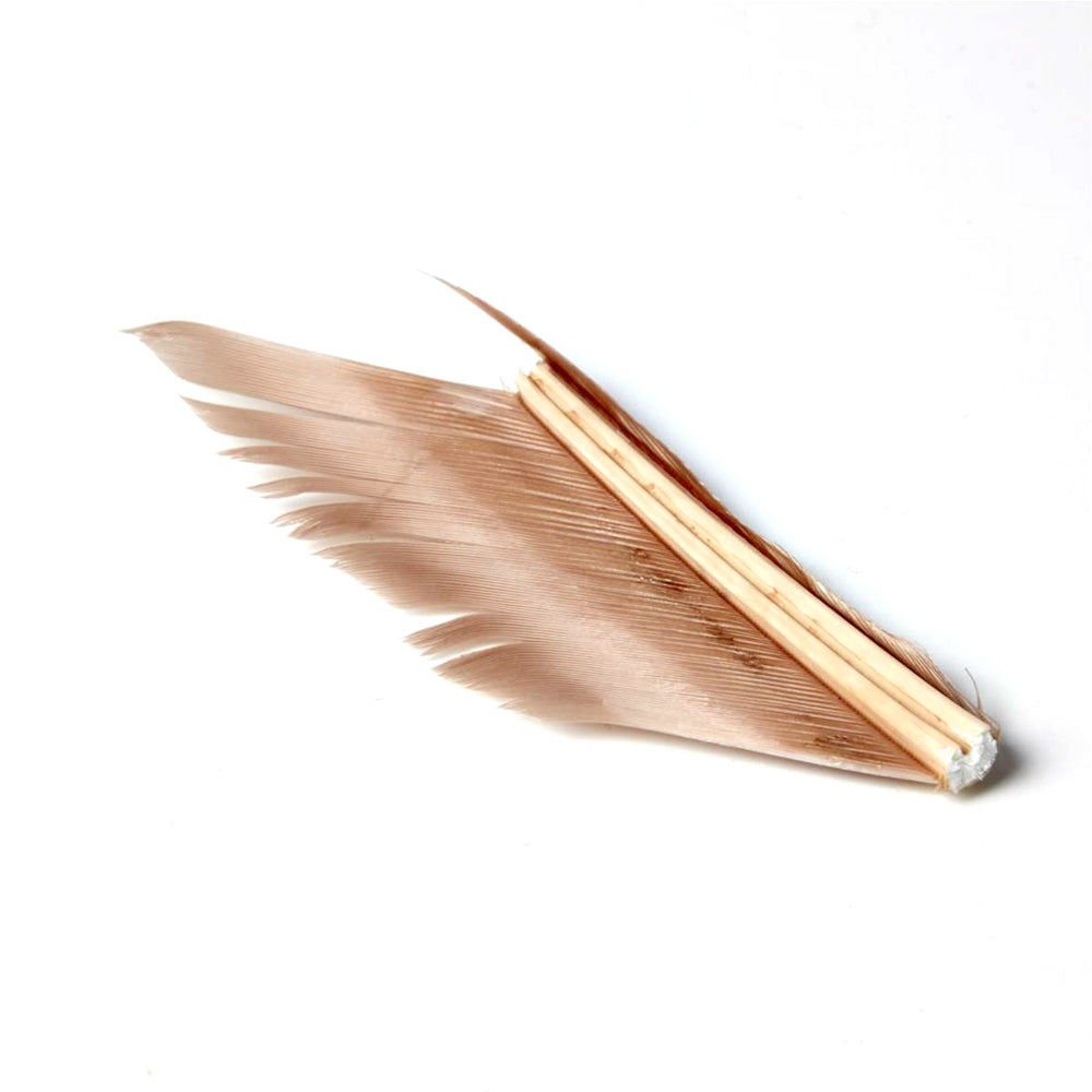 Substitut de Condor - 1 Plume - JMC