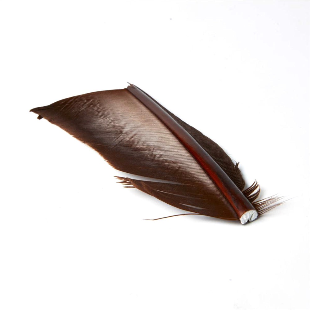 Substitut de Condor - 1 Plume - JMC