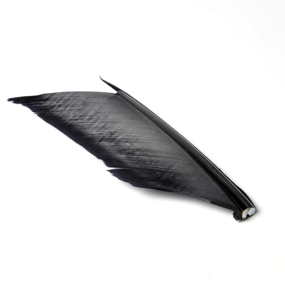 Substitut de Condor - 1 Plume - JMC