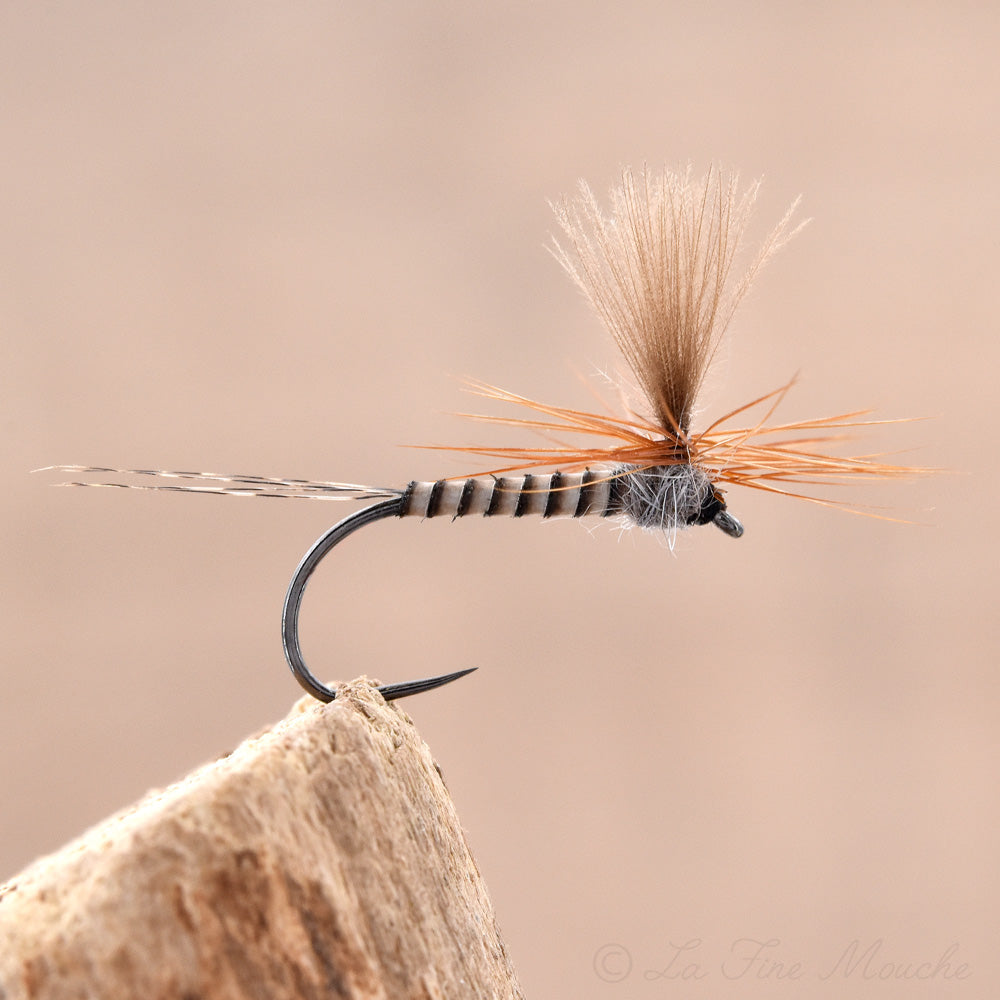CDC Peacock Quill Parachute Dry Fly – La Fine Mouche