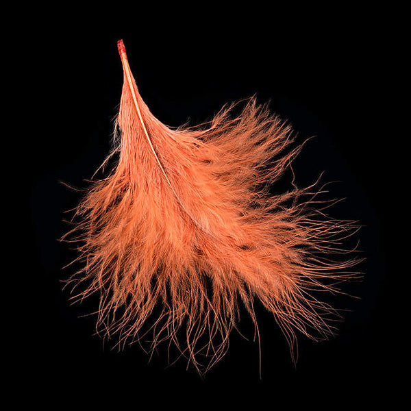 Marabout UV Feathers x10