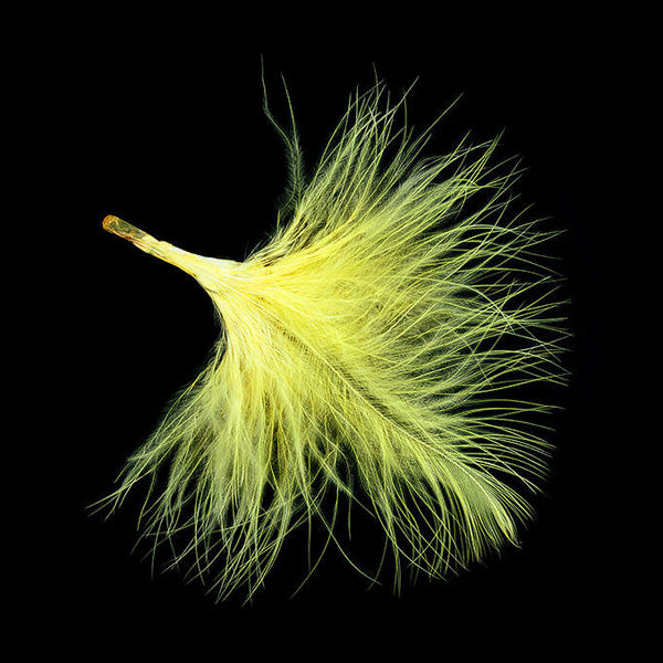 Marabout UV Feathers x10