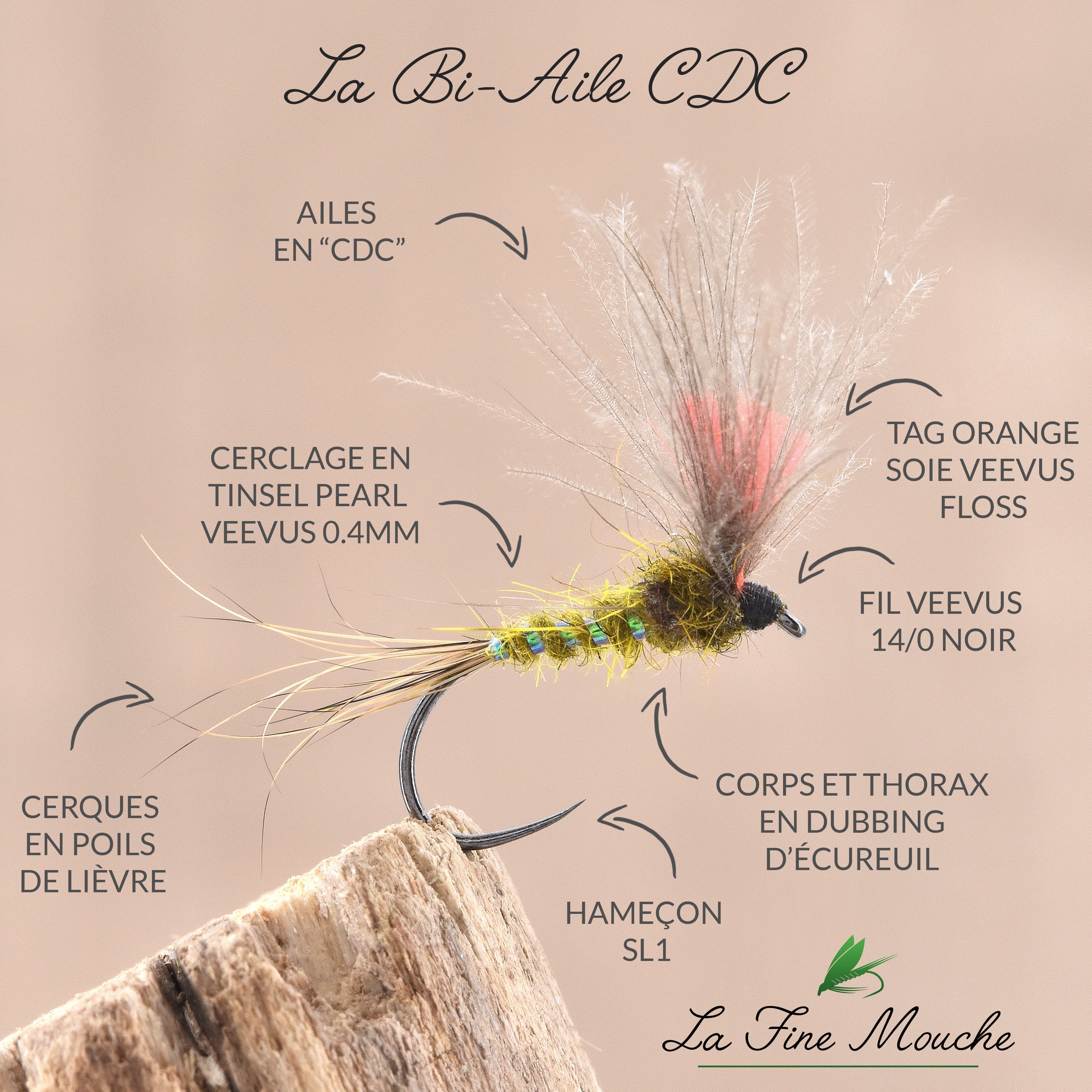 Mouche Sèche éphémère bi-aile CDC
