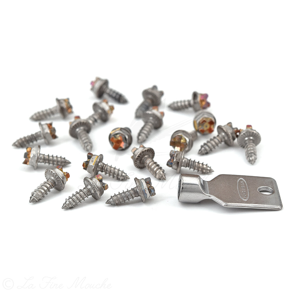 Pitons de tungsténio Vision - 20pcs + Ferramenta