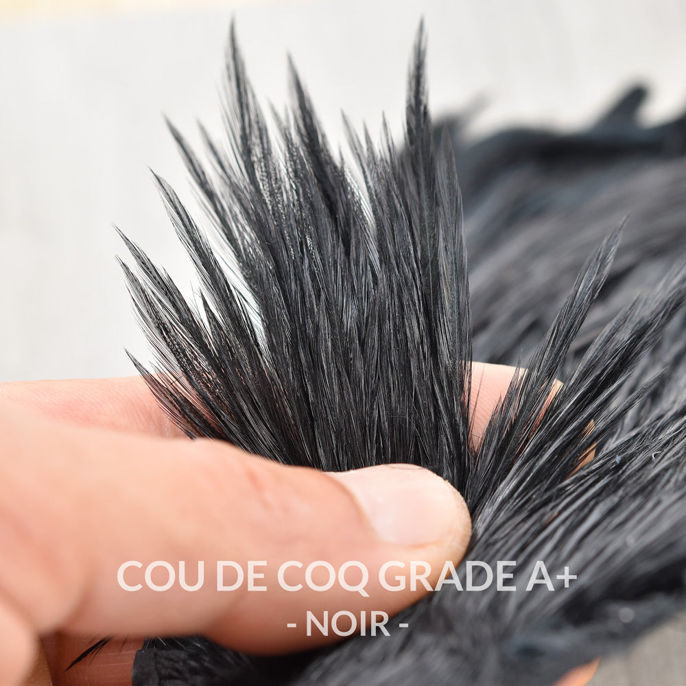 Rooster Neck Grade A+