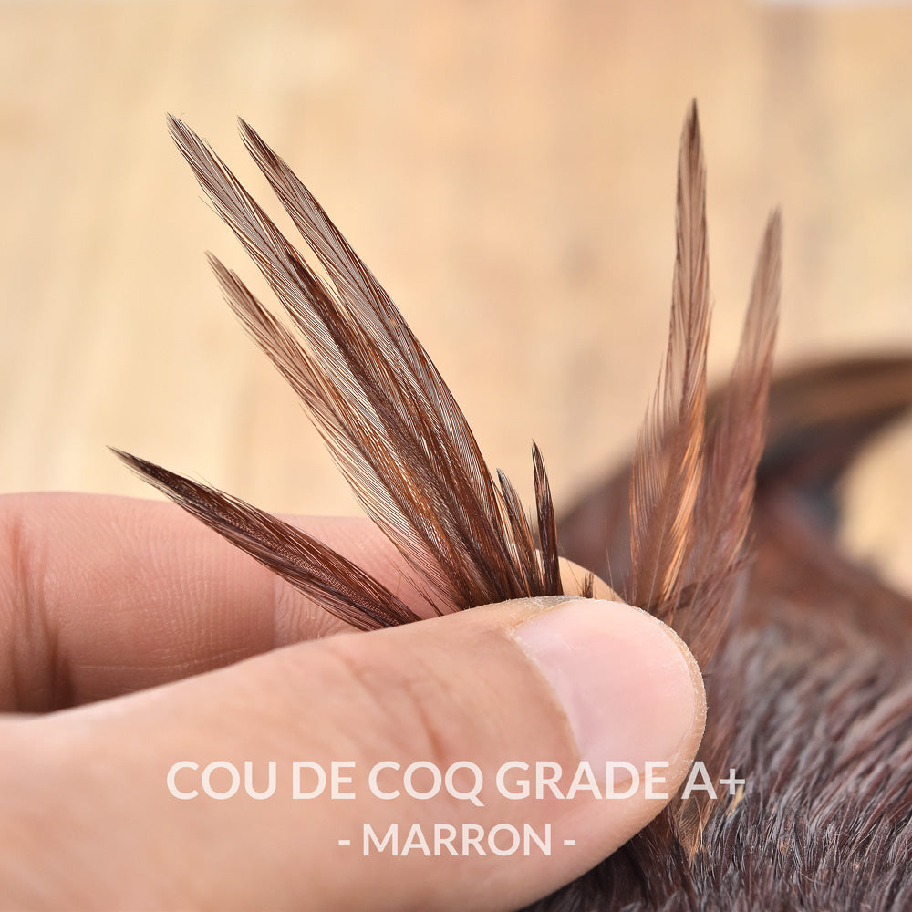 Cou de Coq Grade A+ - 6 Couleurs