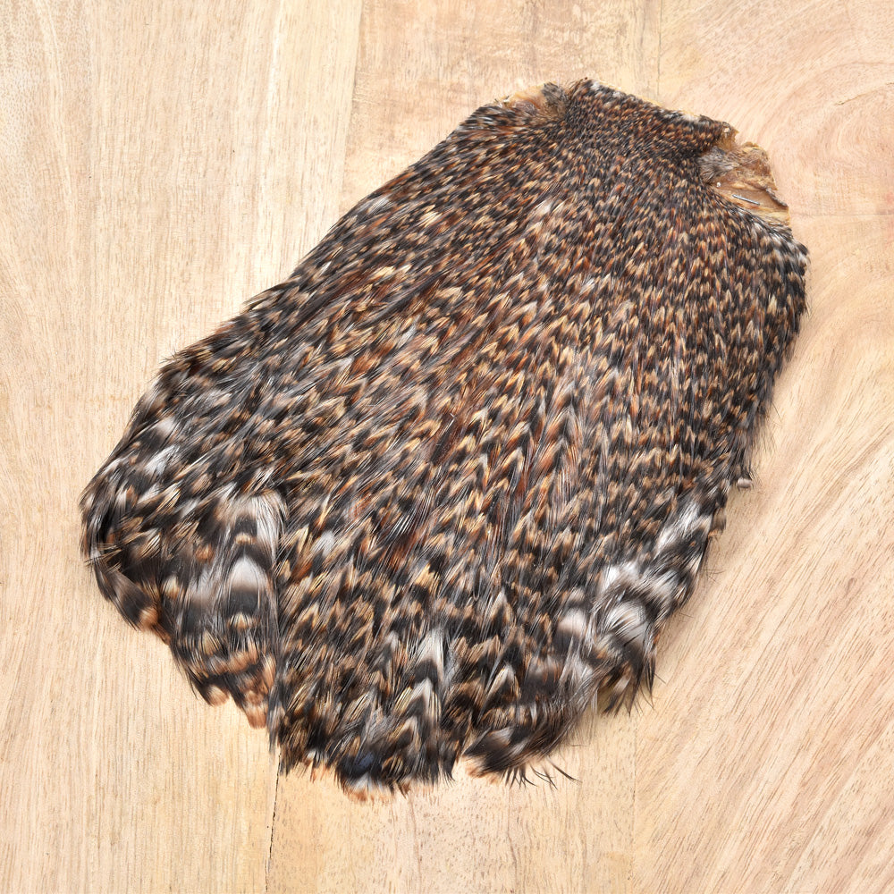 Rooster Neck Grade A+