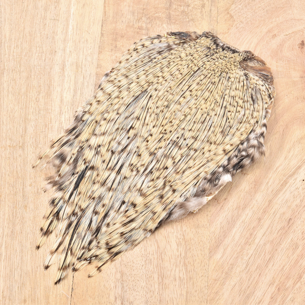 Rooster Neck Grade A+