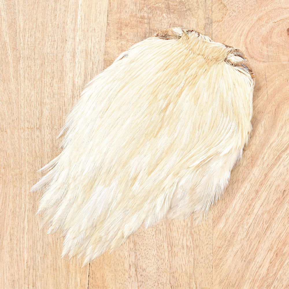 Rooster Neck Grade A+