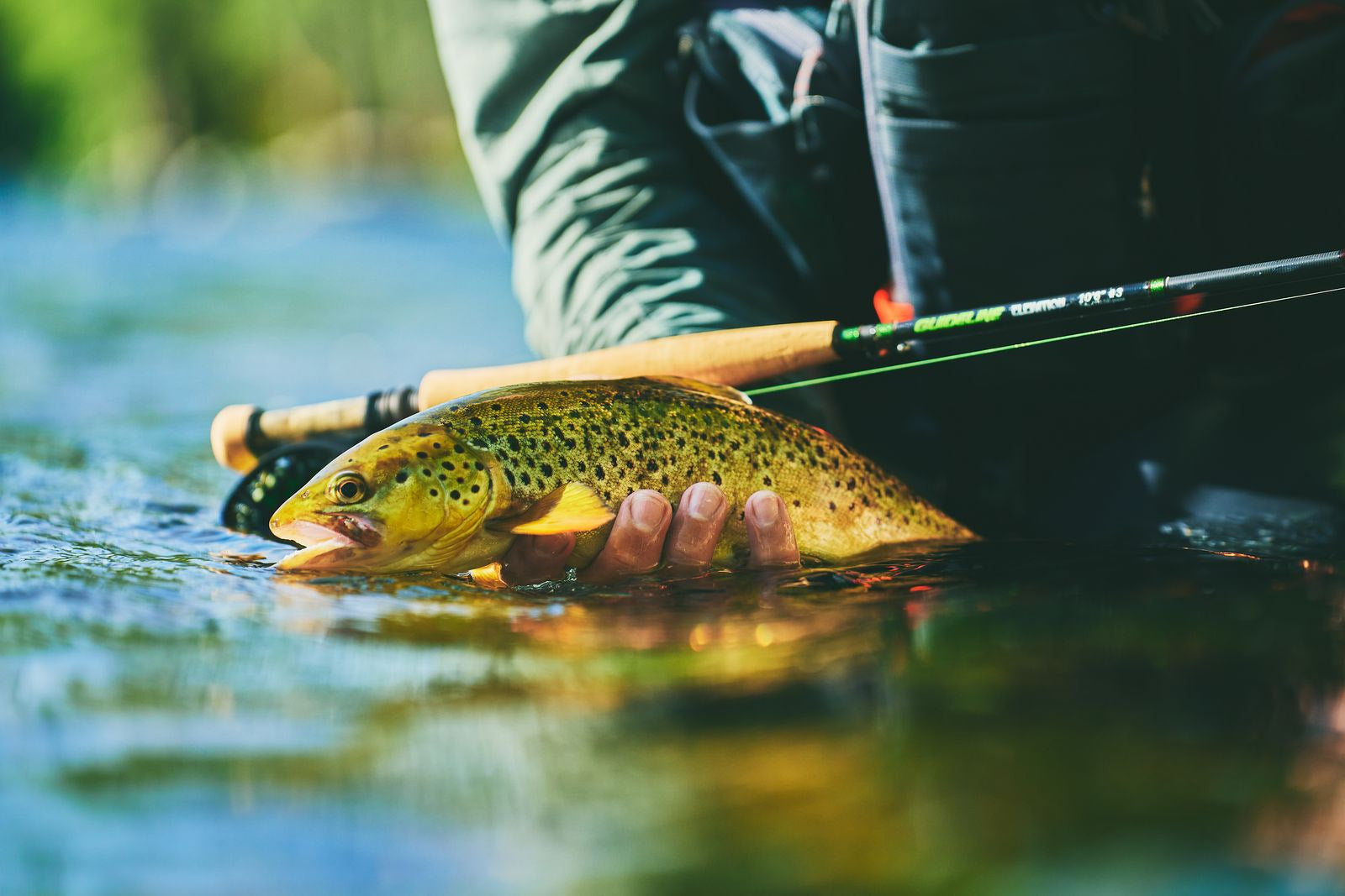 Canne "Elevation Nymph" de Guideline - #3 10'6